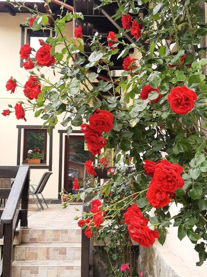 Hotel Casa Cu Flori Buşteni Exterior foto